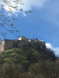 IMG_0026