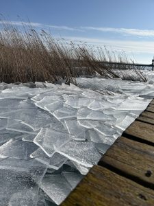 IMG_3923